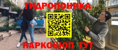 a pvp Усть-Илимск
