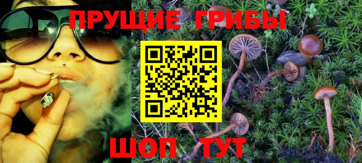 Севастополь  купить  сайты  Вход с VPN  Псилоцибиновые грибы мицелий 