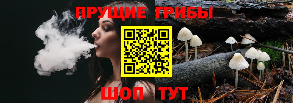 Псилоцибиновые грибы мицелий Севастополь